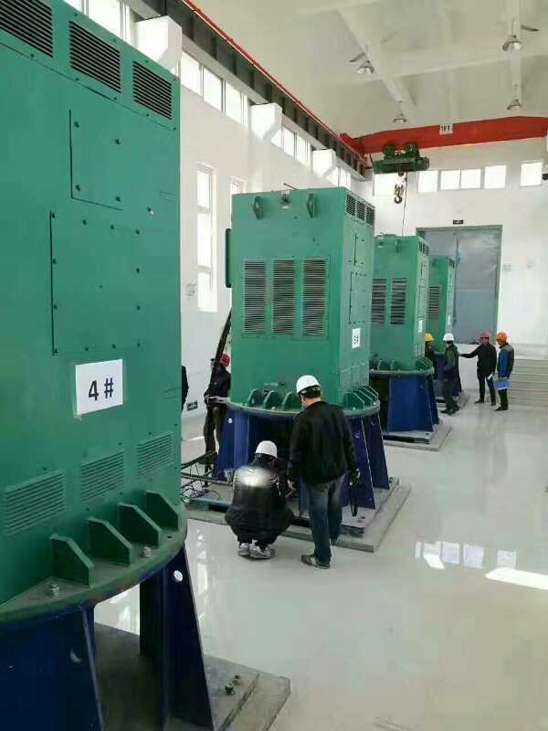 甘肃某污水处理厂使用我厂的立式高压电机安装现场安装尺寸